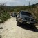 Three SUVs drive along a dry road amid dry brush